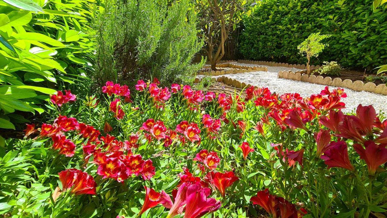 Casalionelantibes 70 Sqm Apartment With Garden And Parking 外观 照片