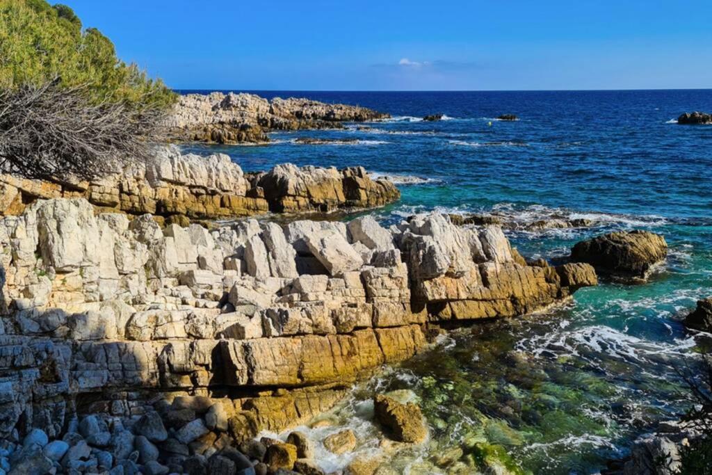 Casalionelantibes 70 Sqm Apartment With Garden And Parking 外观 照片