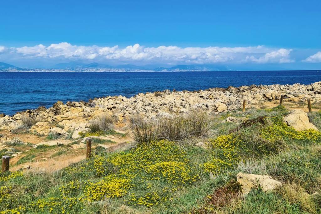 Casalionelantibes 70 Sqm Apartment With Garden And Parking 外观 照片